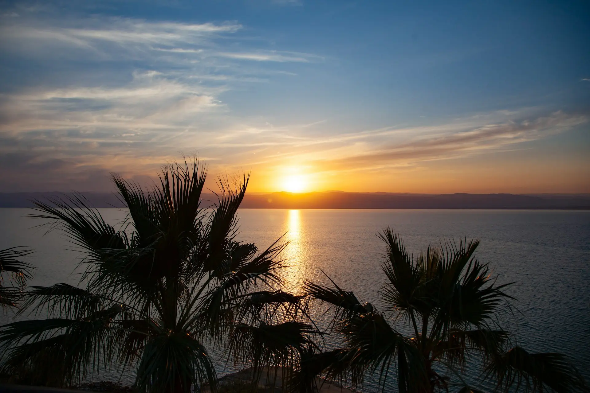 a sunset over a body of water with palm trees