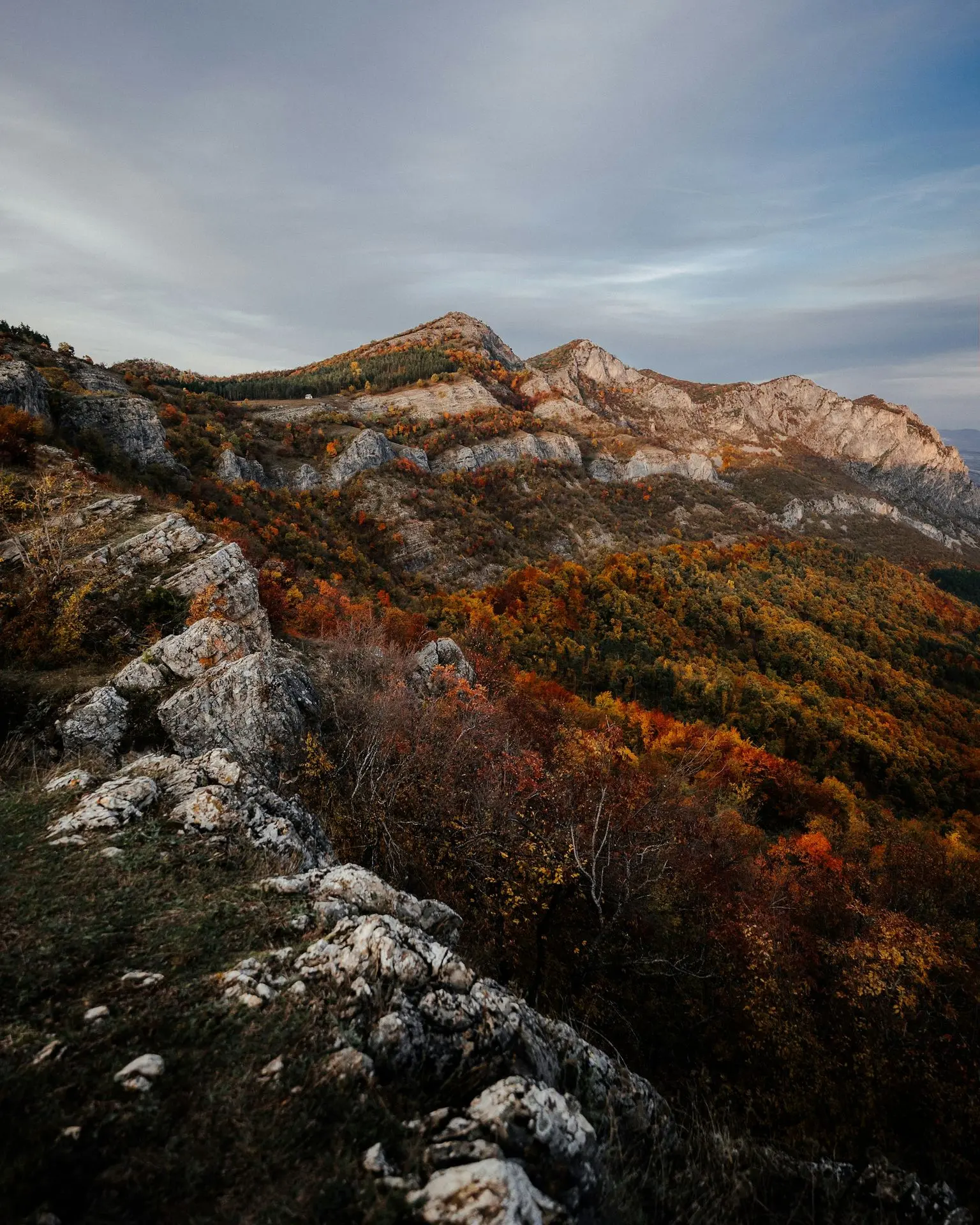 a view of a mountain range with trees in the foreground