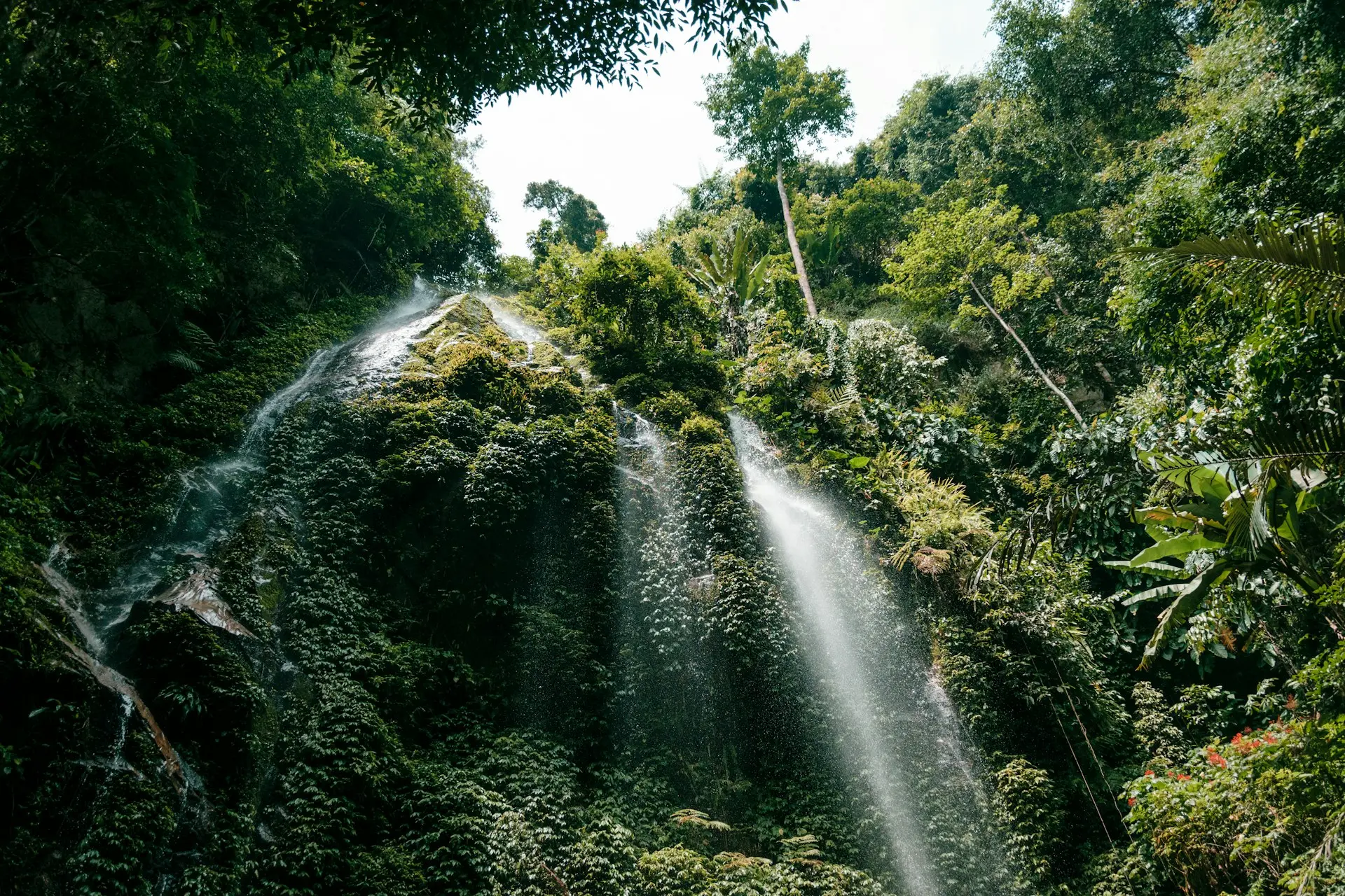 a very tall waterfall in the middle of a forest
