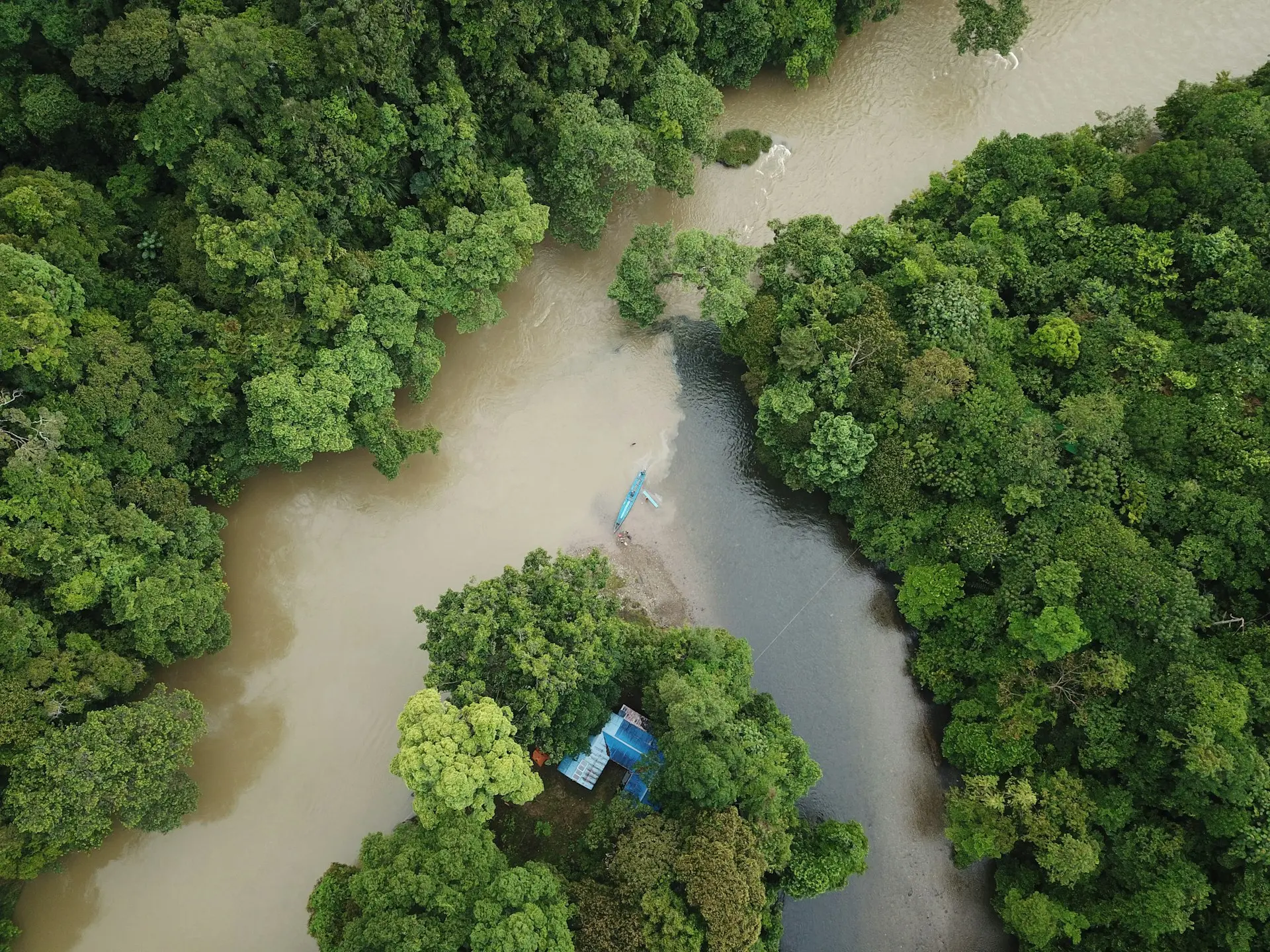 A river running through a lush green forest